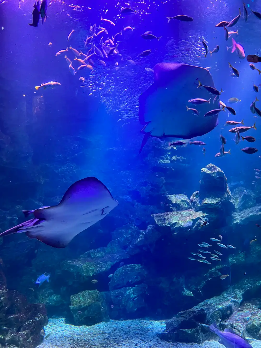 Kyoto Aquarium